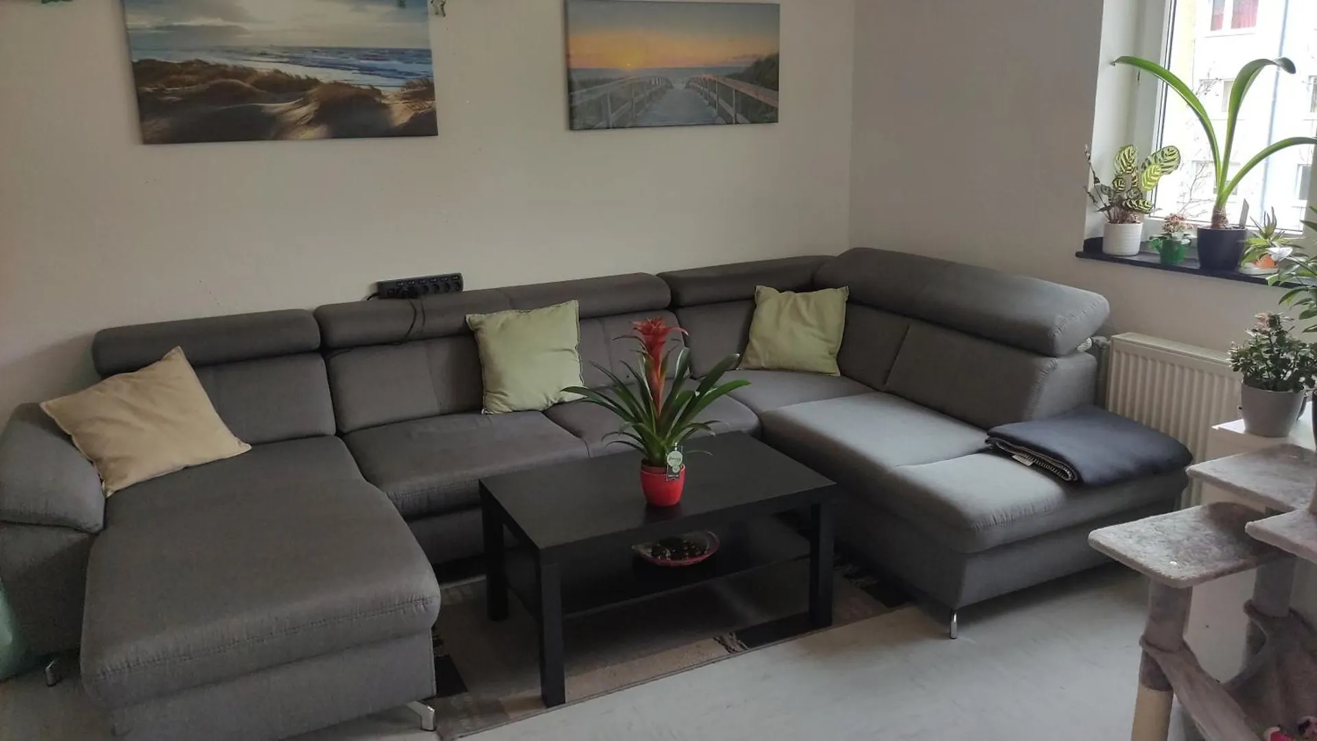 Bequeme Wg-Schlafcouch Fuer 2 In Rheinnaehe كولونيا